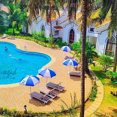 Susegad Suites Arpora Apartments & Villas With Reserved Parking Bagian luar foto